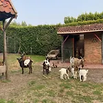 Casa de Férias Gypsy Caravan In Weideblick With Farm Animals *