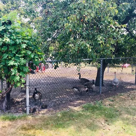 Hébergement de vacances Gypsy Caravan In Weideblick With Farm Animals