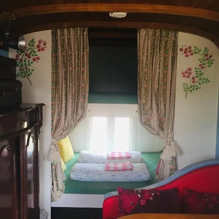 Pipowagen Weideblick Tatil Evi