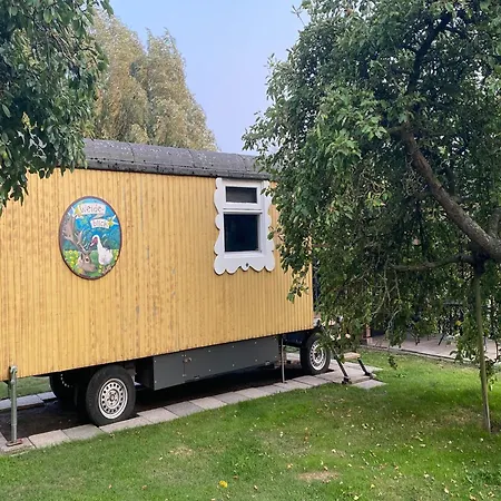 Gypsy Caravan In Weideblick With Farm Animals Bergen op Zoom