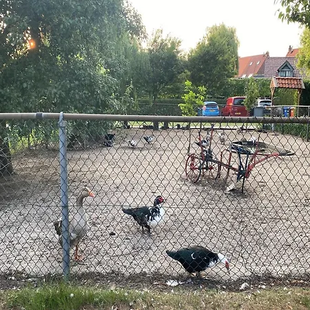 Pipowagen Weideblick Tatil Evi