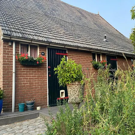 Gypsy Caravan In Weideblick With Farm Animals Dom wakacyjny *