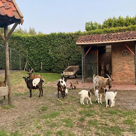 Dom wakacyjny Gypsy Caravan In Weideblick With Farm Animals *