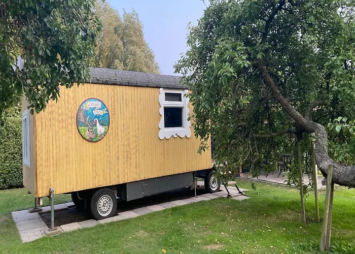 Gypsy Caravan In Weideblick With Farm Animals Berg-op-Zoom