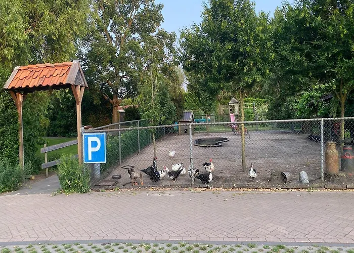 Gypsy Caravan In Weideblick With Farm Animals * Berg-op-Zoom