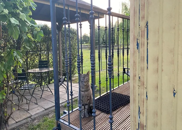 Gypsy Caravan In Weideblick With Farm Animals