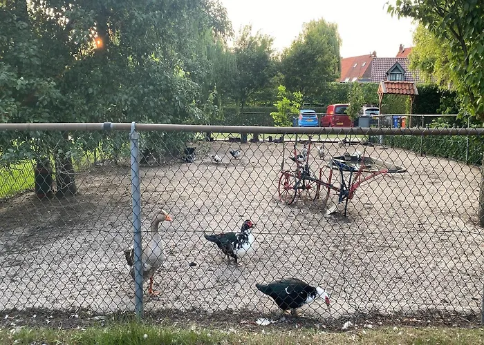 Gypsy Caravan In Weideblick With Farm Animals Hébergement de vacances