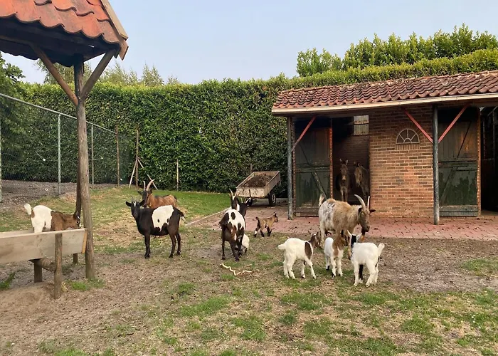 Hébergement de vacances Gypsy Caravan In Weideblick With Farm Animals *