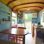 Gypsy Caravan In Weideblick With Farm Animals *
