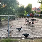 Gypsy Caravan In Weideblick With Farm Animals בית נופש