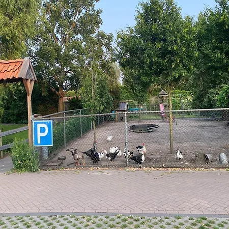Gypsy Caravan In Weideblick With Farm Animals * بيرخن أوب زوم