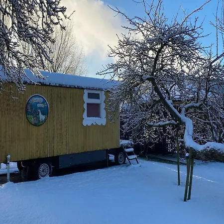 Gypsy Caravan In Weideblick With Farm Animals بيت للعطل *
