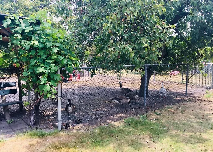 بيت للعطل Gypsy Caravan In Weideblick With Farm Animals